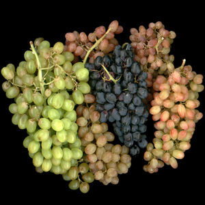Moscato Wine