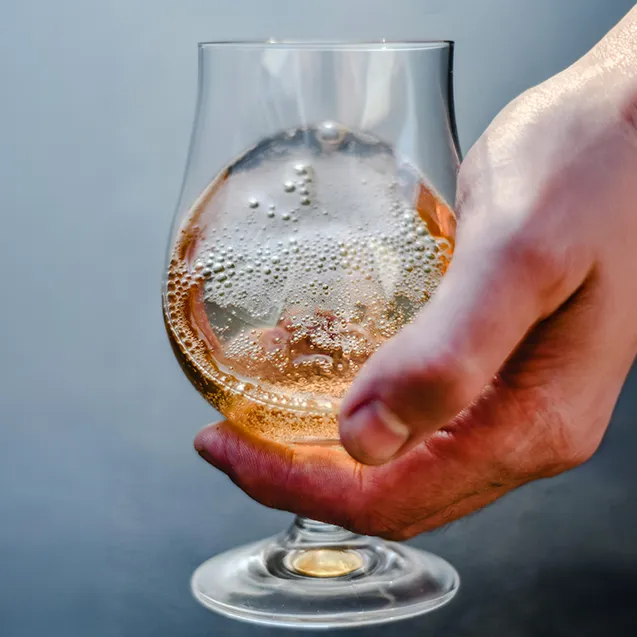 three cider yeast test